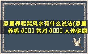 家里养鹌鹑风水有什么说法(家里养鹌 🐒 鹑对 🐞 人体健康有影响吗)